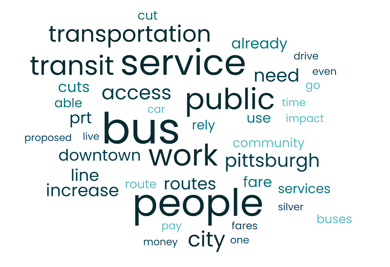 Word cloud showing the most commonly used words in public comments.